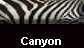 Canyon