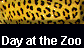 Day at the Zoo
